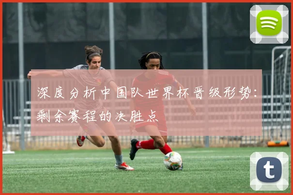 深度分析中国队世界杯晋级形势：剩余赛程的决胜点