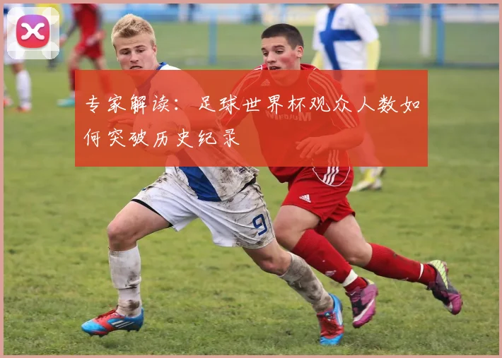 专家解读：足球世界杯观众人数如何突破历史纪录