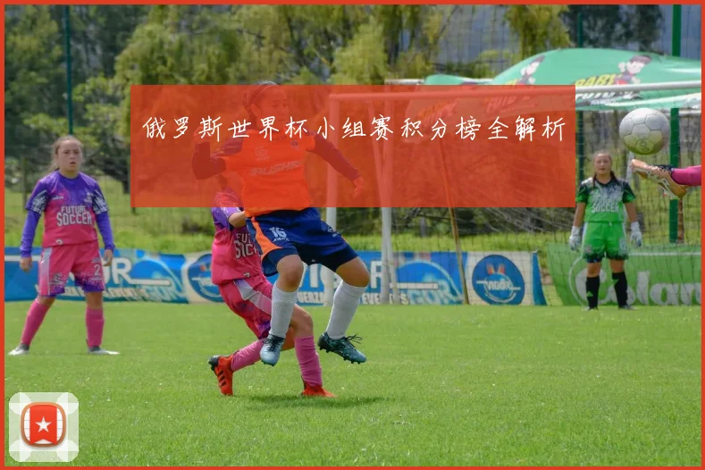 俄罗斯世界杯小组赛积分榜全解析