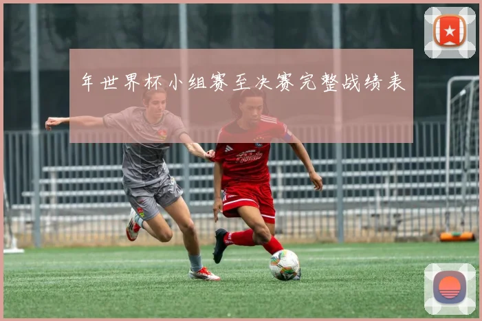 年世界杯小组赛至决赛完整战绩表