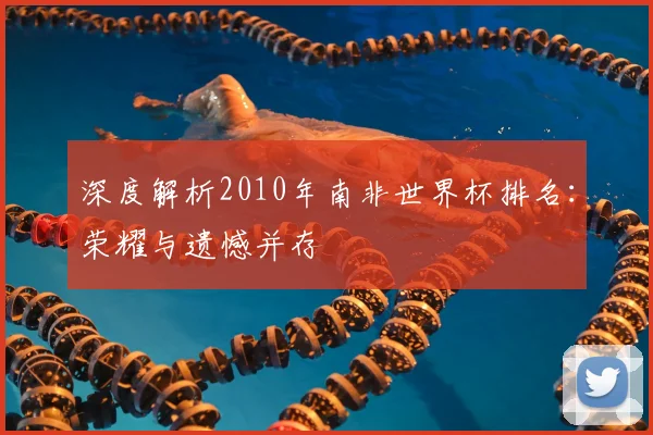 深度解析2010年南非世界杯排名：荣耀与遗憾并存