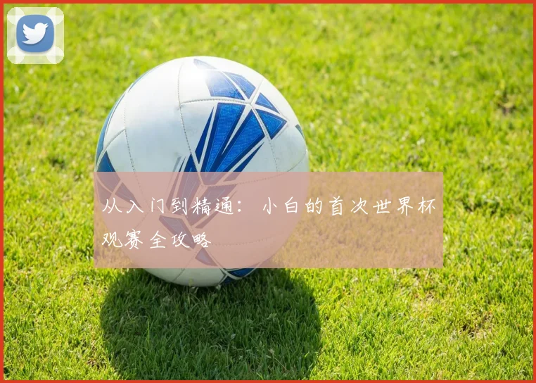 从入门到精通：小白的首次世界杯观赛全攻略