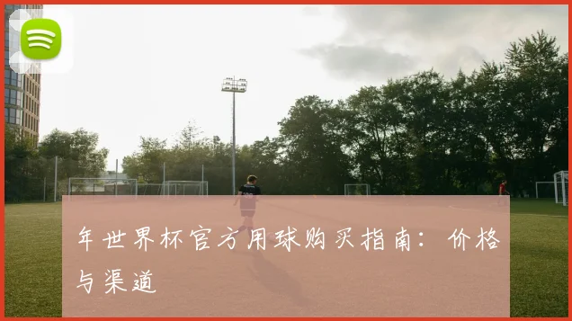 年世界杯官方用球购买指南：价格与渠道