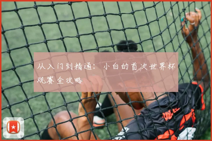 从入门到精通：小白的首次世界杯观赛全攻略
